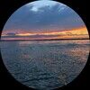 oceanreset